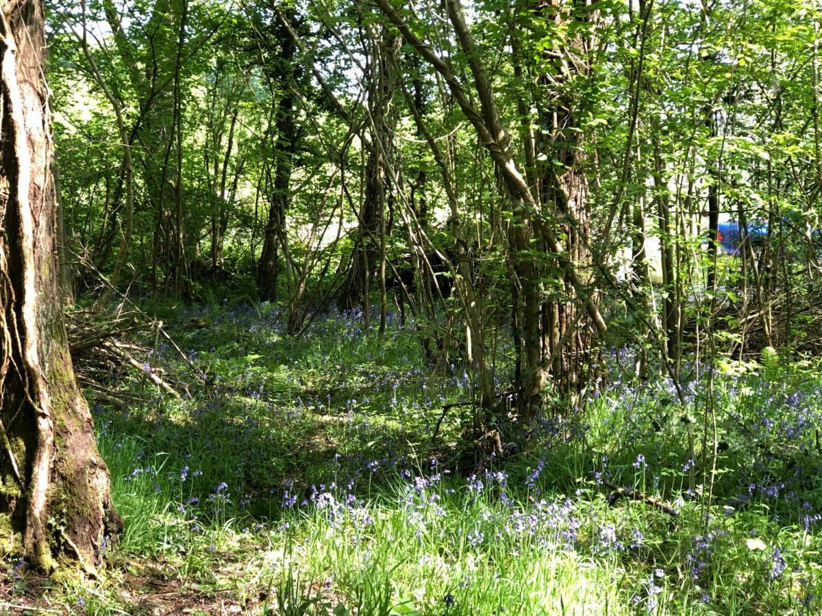 Coed Y Marchog Woodland Retreat Villa Hereford Eksteriør billede