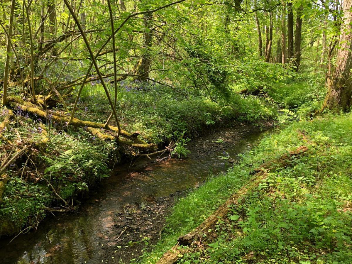 Coed Y Marchog Woodland Retreat Villa Hereford Eksteriør billede