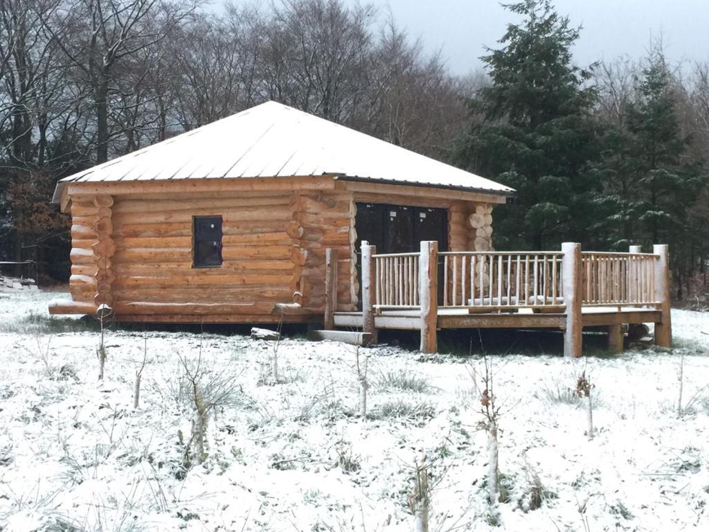 Coed Y Marchog Woodland Retreat Villa Hereford Eksteriør billede